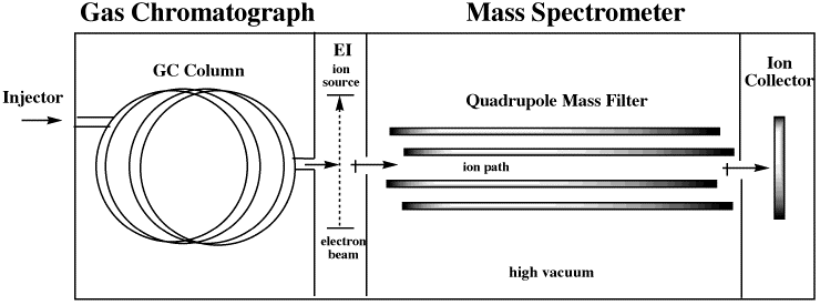 Intro to Mass Spectrometry
 Gas Chromatography Instrumentation Diagram